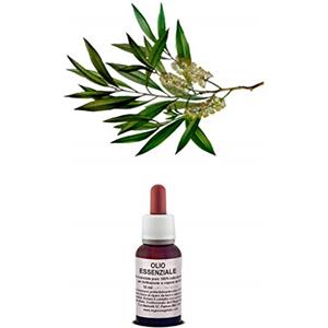 Il Regno Vegetale TEA TREE Oil Olio Essenziale 100% Puro e Naturale Uso Interno/Esterno Aromaterapia (20 ml)