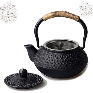 HwaGui Mini Teiera in Ghisa con Infusore Giapponese Tetsubin Teiere 0.3l/300ml, Nero