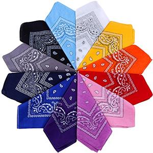 Anpro 12 Pezzi Bandane Multicolori per Cappelli,Bandana per Capelli, Collo,Testa,Sciarpa Fazzoletti da Taschino,Disegno Paisley,Realizzati in 100% Cotone