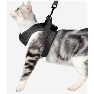 Crea CLEA- Pettorina per gatti ultra leggera e confortevole,con guinzaglio. (M, Nero)