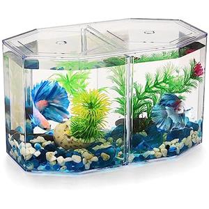 UKCOCO Piccolo Acquario Betta: Piccolo Acquario Trasparente o Con Partizione Mobile Vasca Per Lallevamento Di Pesci Per Pesci Rossi Betta 7. 86X4. 72X4. 32 Pollici