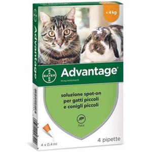 Advantage Spot-on per Gatti e Conigli Piccoli, 40 MG, 4 Pipette