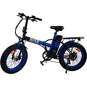 Nilox - E-Bike X8 Inter, Bici Elettrica con Pedalata Assistita, Motore Brushless High Speed da 36V, 250W e Batteria Removibile LG da 36 V - 10.4 Ah, Gomme Fat da 20" x 4"e Doppio Freno a Disco