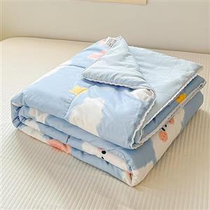 Surwin Copriletto Trapuntino Estivo Reversibile in Morbido Microfibra Leggero, per Letto Singolo Matrimoniale, Copriletto Stampa Moderno, Trapunta per Tutte Le Stagioni (Cielo Blu,150x200cm)