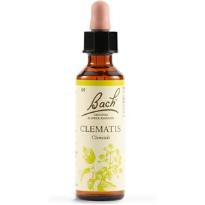 SCHWABE PHARMA ITALIA Srl Bach - 9 Clematis - 20 ml