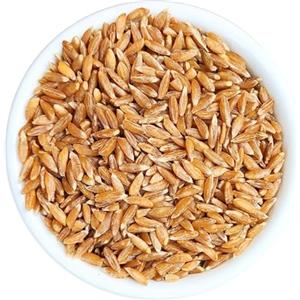 BONGIOVANNI FARINE E BONTA' NATURALI Grano Khorasan Kamutin Chicchi, 520 Grammo