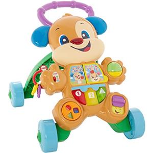 Fisher-Price Cagnolino Primi Passi Spingibile, Giocattolo Elettronico Educativo con Musica e Suoni, per Bambini di 6 + Mesi, FRC84