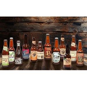 NOT JUST A BOX - Box Degustazione Birre - Beerbox con 12 bottiglie di Birra (Box Birre IPA & PALE ALE)