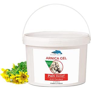 bleu & marine Bretania Arnica Gel FORTE & Concentrato 90% di Estratto di Arnica BIO da Agricoltura Biologica. Gel Massaggi Muscolari e Articolari. Idratante per la Pelle - 2200 g 2.2 kg