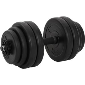 vidaXL 2X Manubrio 30 kg Palestra Attrezzi Fitness Bilanciere con Dischi Peso