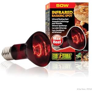 Exo Terra PT2141 Lampada Spot a Infrarossi Ex Heat Gl R20/50 W