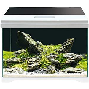 AMTRA MODERN TANK 50 LED - Acquario completo di illuminazione LED e filtro interno / cm 50,5x25,5x40 / 40 Litri
