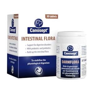 Canosept flora intestinale cane - probiotici per cani e prebiotici - enzimi digestivi - supporta i disturbi digestivi - rafforza la flora intestinale - probiotico digestivo per cani - 30 compresse