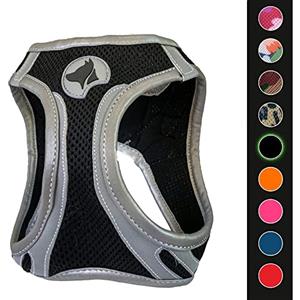 Croci C5081642 - Pettorina Riflettente Per Cani, Multicolore (Nero), XS, 1 Pezzo