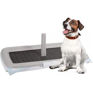 Paluplus Toilette Educativa per Animali, Misura 60x40 cm, tappetino con piedini antiscivolo e Torretta per Cani Maschi, Lettiera per Addestramento cuccioli cane e gatto -0600F