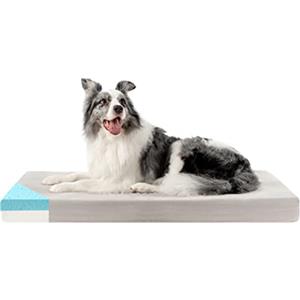 ZENAPOKI Cuccia Cane - S - Ortopedico, Cuccia per Le articolazioni - Cuscino Cane Memory Foam, Cuccia per Cani Gel regolatore di Temperatura, Rivestimento Esterno Lavabile, 60x40x9cm