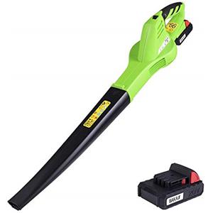 Bakaji Soffiatore Elettrico con Batteria agli Ioni di Litio 20V 2Ah Ricaricabile 6 Velocità Bassa Rumorosità Ricarica Rapida per Foglie Giardino (Cordless 20V)