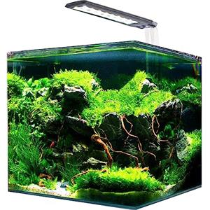 AMTRA NANOTANK SYSTEM 60 - Acquario in vetro completo di luce LED e filtro / cm 38x38x43 / 60 Litri