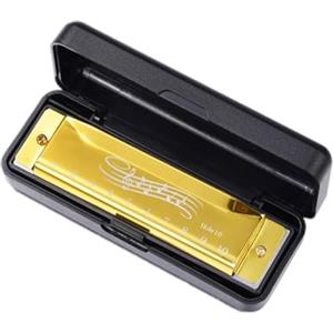 Pruojhw Armonica a bocca per bambini, armonica a 10 fori, per principianti, professionisti e lezioni della prima infanzia, idea regalo per bambini, suono eccellente