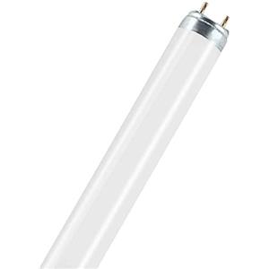 Osram NATURA T8 Lampada Fluorescente 30 W G13 - 26mm, Durata 20.000h, Ideale per Presentazione Cibo