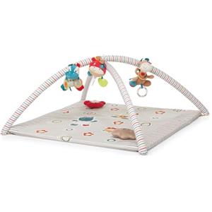 Foppapedretti Trainer Palestrina, Circus