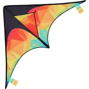 Aomig Aquilone Delta Bambini e Adulti, Aquilone Acrobatico, Aquilone Professionale, Aquiloni Colorati Facili da Far Volare, Aquiloni per Principianti giochi All'aperto, con Aquilone corda(125x65cm)