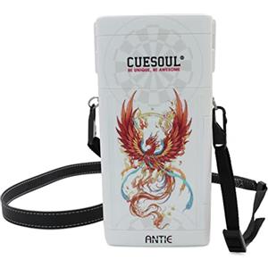 CUESOUL ANTIE Custodia Rigida per Freccette, Contiene 6 Freccette con Punta in Acciaio/Freccette con Punta Morbida e Accessori Extra, con Design a Quattro Simboli mitologici, Uso Durevole