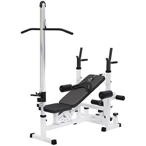 GORILLA SPORTS® Stazione Multifunzione - Regolabile in Molte Posizioni, Lat Machine, Maniglie Dip, Portabilanciere, Estensioni delle Gambe, Stazione Butterfly - Panca Pesi, da Palestra, Fitness