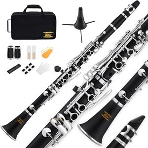Eastar Clarinetto Eastar B Flat per Principianti, Clarinetto in Ebanite Nichelato con 2 Canne, 3 Ance, Guanti Bianchi, Custodia Rigida, Cleaning Kt, ECL-300