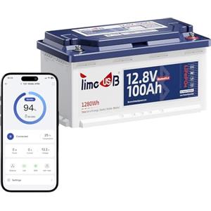 Timeusb Batteria Litio 12V 100Ah H190 Bluetooth,Batteria LiFePO4 100Ah con Protezione dalle Basse Temperature,Max.Energia 1280Wh,Altezza 188 mm per Caravan Europei DIN H8 L5 GROUP49