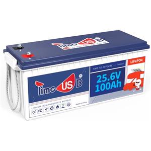 Timeusb Batteria al Litio 24V 100Ah Batteria LiFePO4,BMS 100A,15000 Cicli Profondi,2,56kWh di Energia,Grado A per RV Camper, Accumulo di Energia in Casa