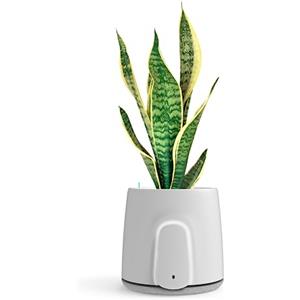 VITESY NATEDE SMART Purificatore Aria Sostenibile Senza Filtri con Sistema di Monitoraggio Integrato|-99% Batteri, Muffa, COV e Virus|Cattura Odori Ambientale|MADE IN ITALY|Pianta Non Inclusa