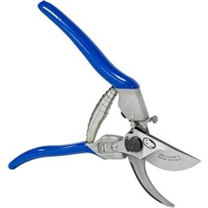 PATERLINI Forbici Potatura Professionali - Cesoie da Giardinaggio, Made in Italy - Potare Facile, Forbice da Frutteto Affilate per Innesto e Tagliare Rami, Attrezzi Giardinaggio (Master)