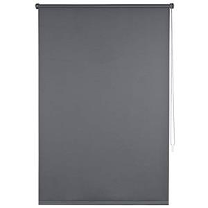 EUGAD Tende a Rullo per Interni Tenda Avvolgibile Oscurante con Rivestimento Termico per Finestre Klemmfix Kit di Montaggio Compreso 65x160cm Antracite 0096JL