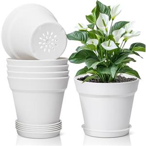 T4U 12.5cm Vaso con Sottovaso Plastica Il Giro Set di 6, Imposta Completo Vaso Fioriera da Interno Ed Esterno per Casa e Ufficio, Vasi da Fiori per Piante, Erbe, Orchids, Bianca
