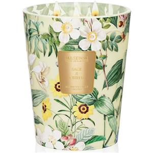 M&SENSE Candele Profumate 3 Stoppini Candela in Giara Grande 990 g Cera di Soia con Oli Essenziali Salvia e Agrumi per Profumo per la Casa Set Regalo per Donna Fino a 150 ore Candela per Aromaterapia