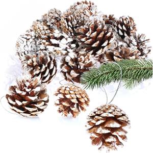 COM-FOUR® 20x ciondoli a forma di pigna con punte bianche - pigne come decorazioni natalizie - decorazioni a cono da appendere - set per bricolage - decorazioni natalizie (20 pezzi - bianco)