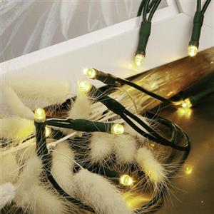 hellum LED mini luci da fata per interni, 10 mini luci LED, 135 cm di lunghezza illuminata, con spina, cavo verde, bianco caldo per interni, albero di Natale 577532