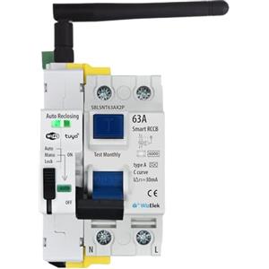 Smart-Home Salvavita - Interruttore differenziale monofase 30 mA Tipo A & AC - In 63 A (14 kW) - Inc 6 kA - Riarmo automatico - Controllo ON/OFF tramite app Wi-Fi Tuya - Certificato EN 61008-1 RCCB