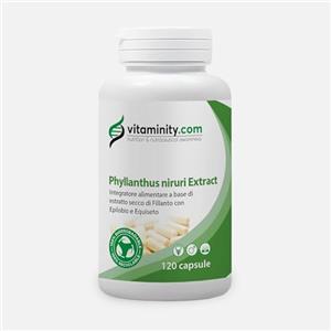Vitaminity Phyllanthus Niruri Extract - Integratore Prostata, Integratori per Capelli, Anticaduta Capelli Donna e Uomo, Anti DHT per Favorire la Ricrescita Capelli - Formato da 120 Capsule