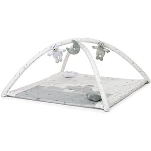 Foppapedretti Trainer Palestrina, Dolcestella