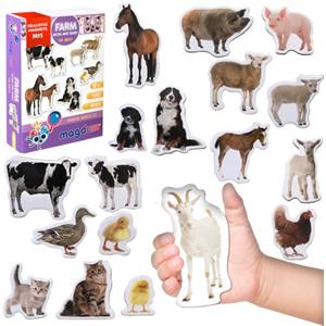 magdum Magneti Fattoria per Bambini - 18 Animali Magnetici Realistici - Grandi Figure Sensoriali Prima Infanzia - Gioco Montessori Casa Asilo - Attività Educativa Creativa - Magdum
