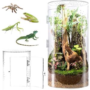 Biigdan Terrario Cilindrico, 360° Terrarium Acrilico - Teca per Rettili Trasparente, Vivarium, Terrario Rettili per ragni, lumache, mantidi, lucertole, raganelle, paguri, coleotteri