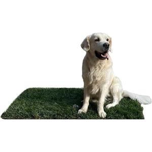 PratoErboso GreenZolla - L' Originale Lettiera per Cani in Erba Vera Naturale, Traversina 100% Naturale, Cuccia per Gatti in Vero Prato, Zona Gioco e relax per Animali Misura Maxi