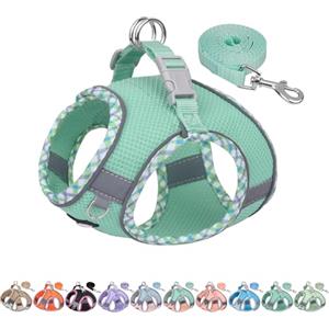 AIITLE Pettorina per cani anti-fuga, gilet anti-tiro con guinzaglio, strisce riflettenti, imbracature regolabili per animali domestici all'aperto per cani di taglia media, Turchese XS