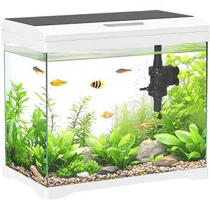 PawHut Acquario in Vetro 17L per Pesci Rossi con Illuminazione LED, Acquario Completo con Pompa d'Acqua e Sistema di Filtraggio, Vaschetta per Pesci Acqua Tropicali 35x21x31 cm Bianco