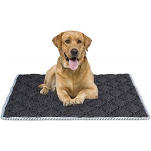 EVERGREENWEB MATERASSI & BEDS EVERGREENWEB - Materassino per Cane Imbottitura in MEMORY FOAM 90x115 cm Rivestimento Grigio Morbido LAVABILE Ipoallergenico, Letto Multiuso per Animali Domestici di Taglia Grande, Cuccia Tappeto, DOG