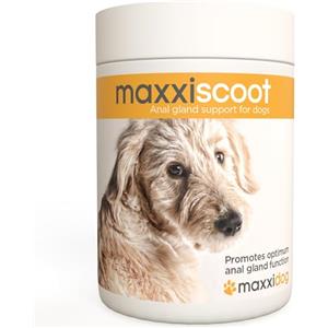 maxxipaws maxxiscoot Ghiandole Perianali e Apparato Digerente - Integratore per Cani, 140g
