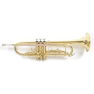 Roy Benson Bb-Trumpet TR-101 (progettato professionalmente con alesaggio ML, con leadpipe in ottone dorato, custodia rettangolare leggera inclusa, con set di zaini)
