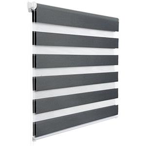 WOLTU Tenda a Rullo per interni Doppio Strato Giorno e Notte, Fissaggio a Morsetto Senza Foratura 55l x 150A cm Grigio Scuro, Tenda Traslucida e Oscurante per Finestra o Porta